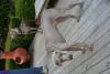Blue with Adopter